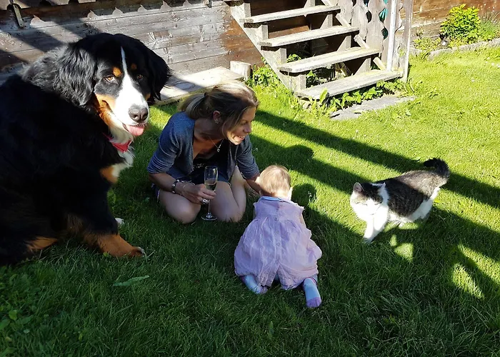 Chalet-hotel Larix Hotel