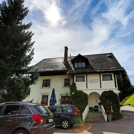 Hotel Chalet-hotel Larix